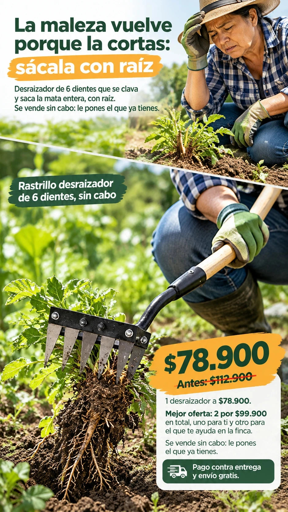 Rastrillo desraizador de 6 dientes, sin cabo